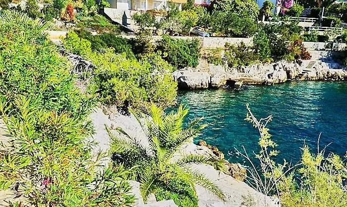 Alisa Trogir