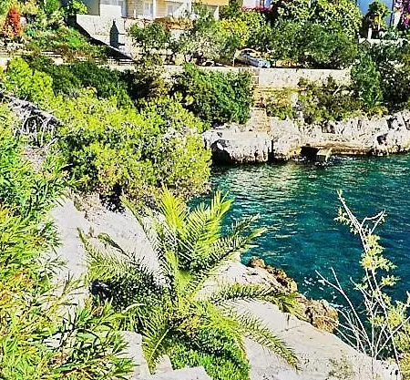 Alisa Trogir